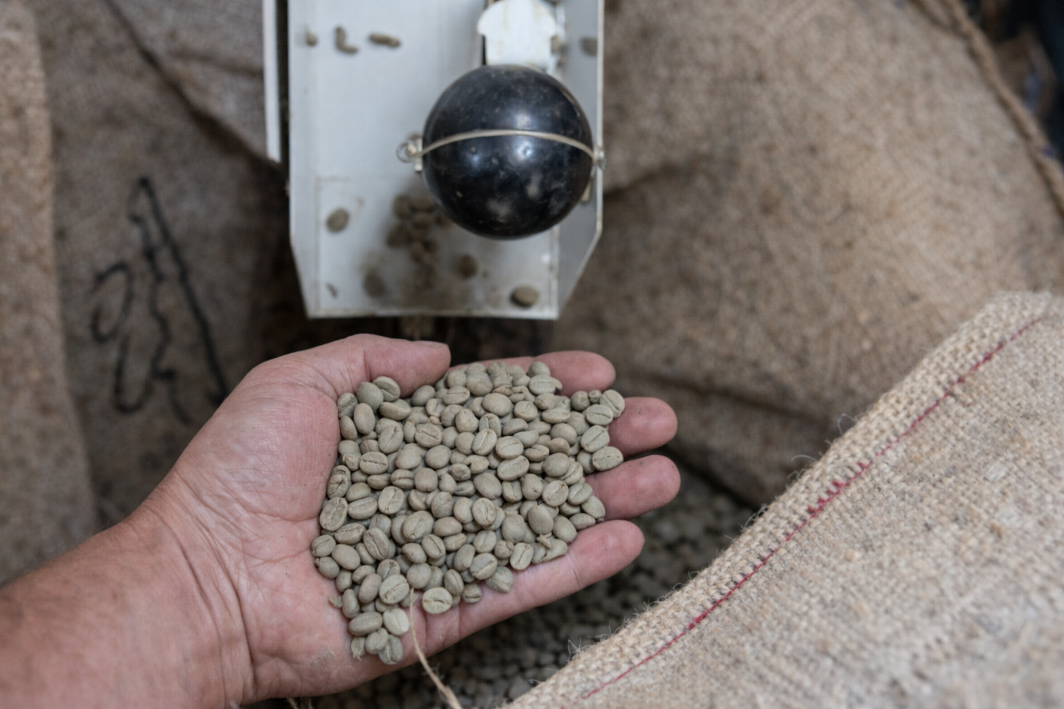 【ハワイ　ｰアメリカｰ】エクストラファンシー