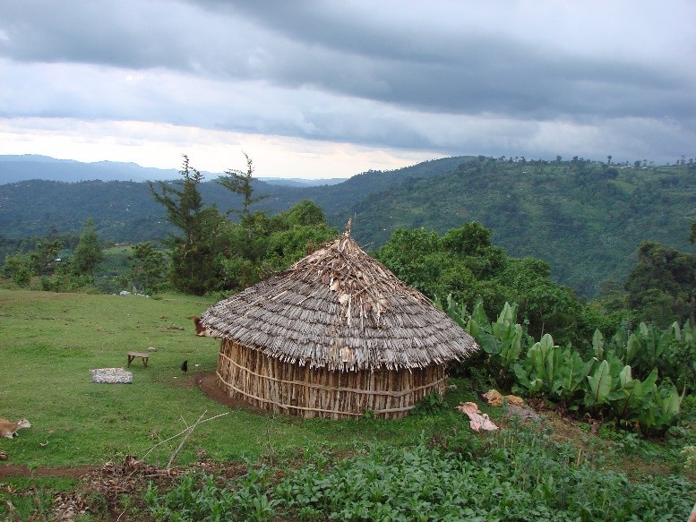 【エチオピア】イルガチェフェG-1 GEDEB　W