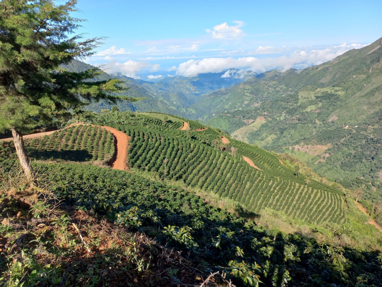 【コスタリカ】ホットスプリング