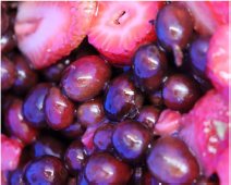 【コロンビア】WineYeast Strawberry Fermentation