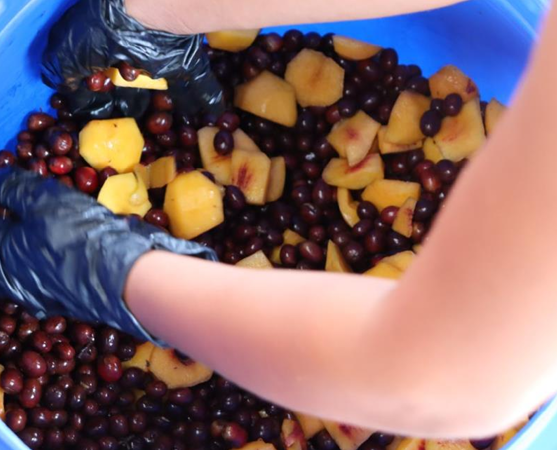 【コロンビア】WineYeast Peach Fermentation