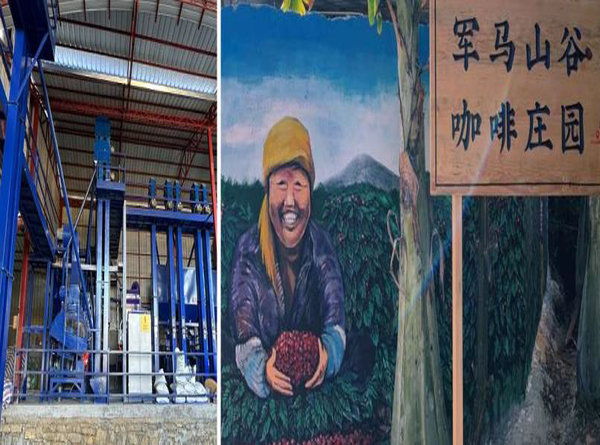 【中国】雲南　ハイランドウォッシュド