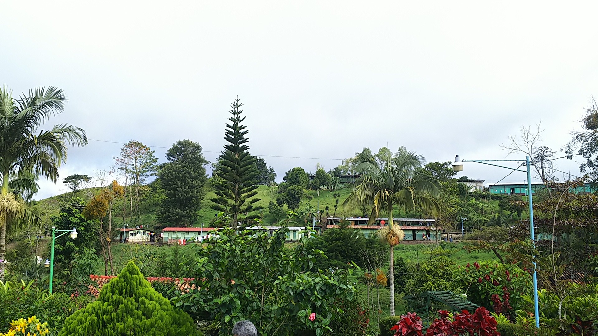 【ニカラグア】パカマラ　オメテペ農園