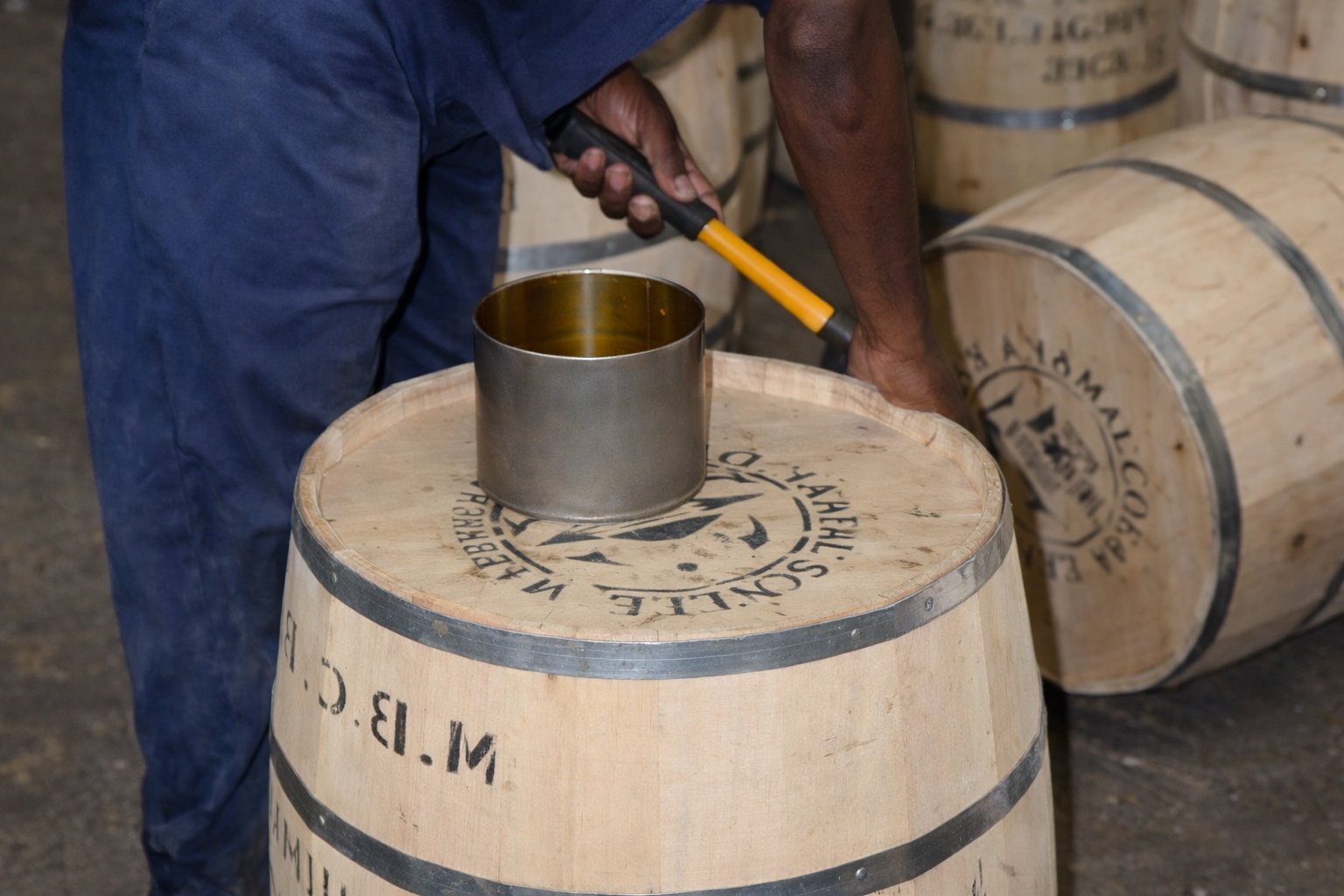 【ジャマイカ】ブルーマウンテン　NO1