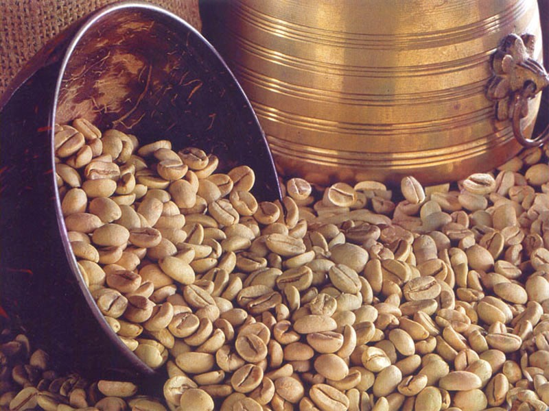 【インド】モンスーン