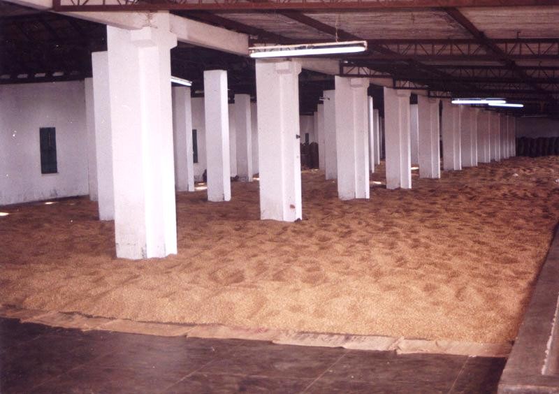 【インド】モンスーン