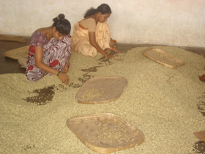 【インド】モンスーン