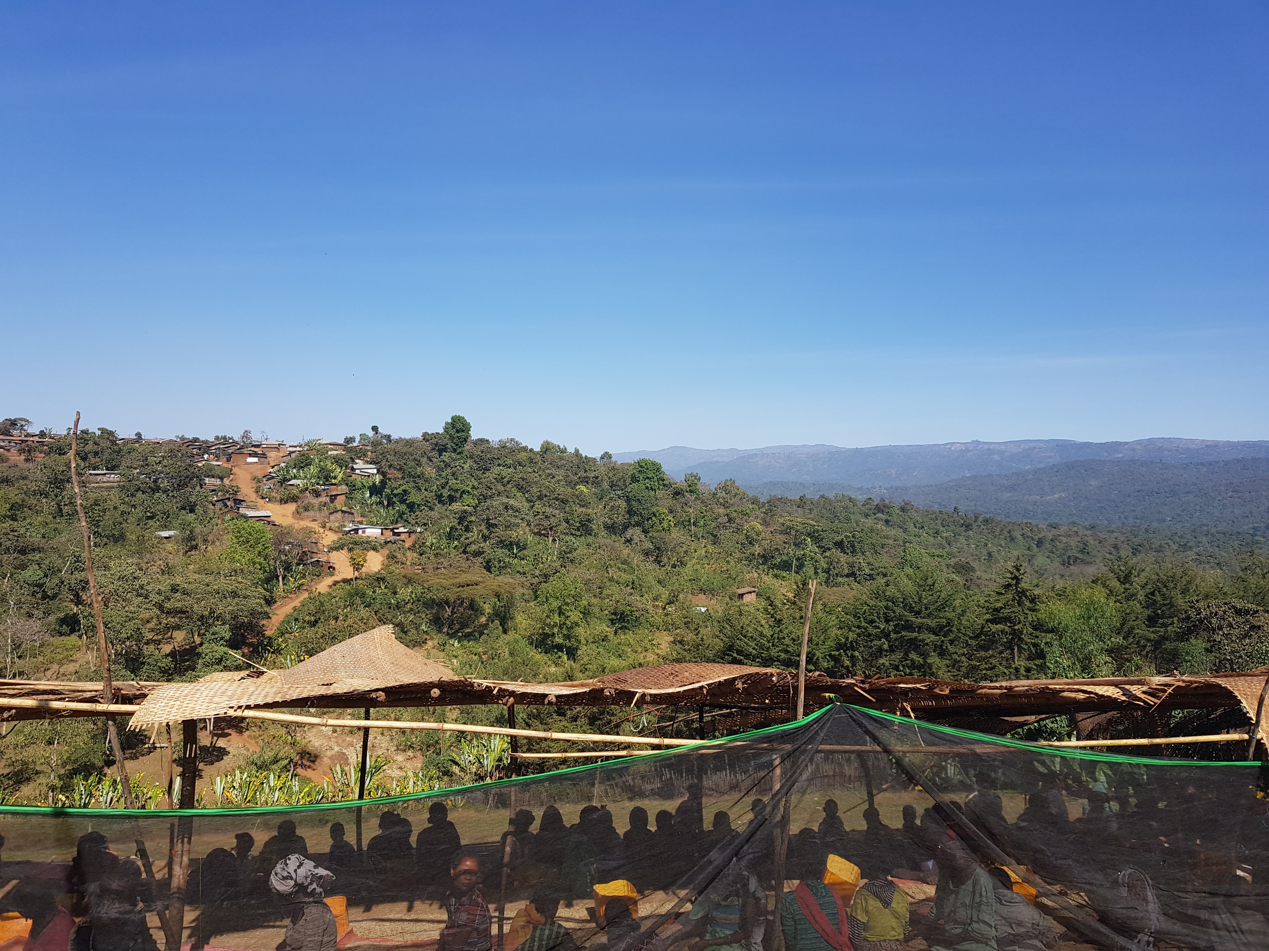 【エチオピア】イルガチェフG-1　N　DOBI